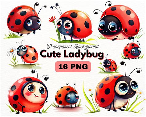 pic of ladybug|cute ladybug pictures.